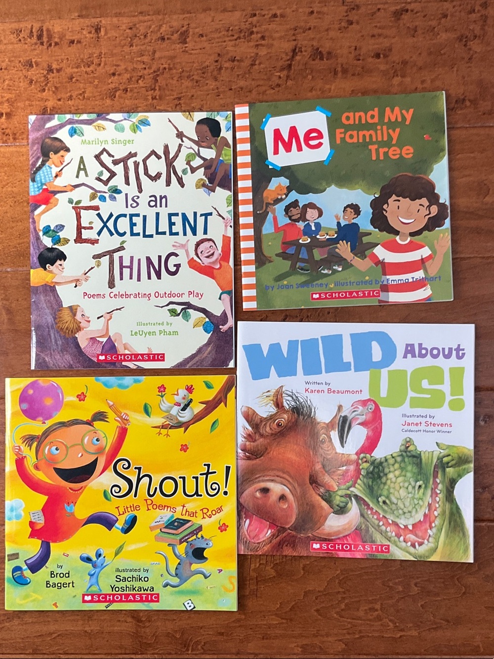 Scholastic book set, NWT